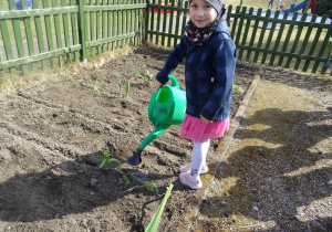 Dziewczynka podlewa konewką posiane rośliny.